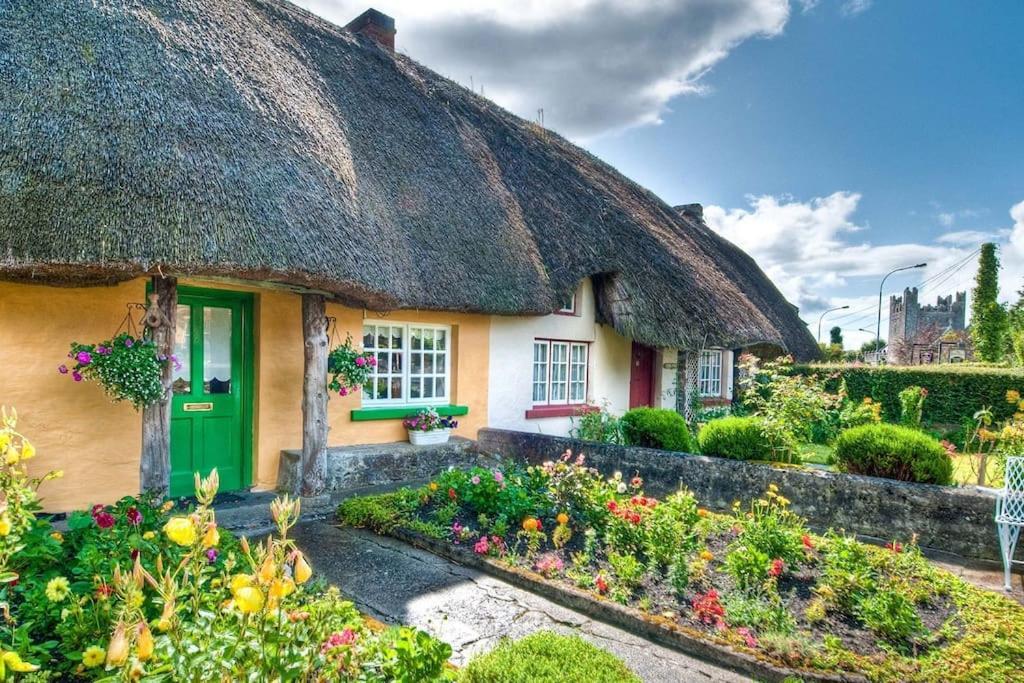 Bruff 3 Bed Semi-Detached House In A Quite Estateヴィラ エクステリア 写真